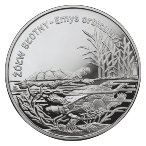 20 zł / 2002 r. - Żółw błotny