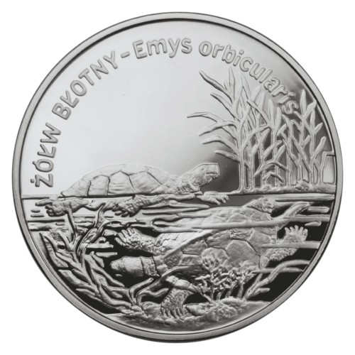 POLSKA: srebrna moneta kolekcjonerska 20 zł / 2002 r. - Zwierzęta Świata – Żółw błotny (łac. Emys orbicularis).  Sklep Numizmatyczny, Warszawa  www.km12.pl