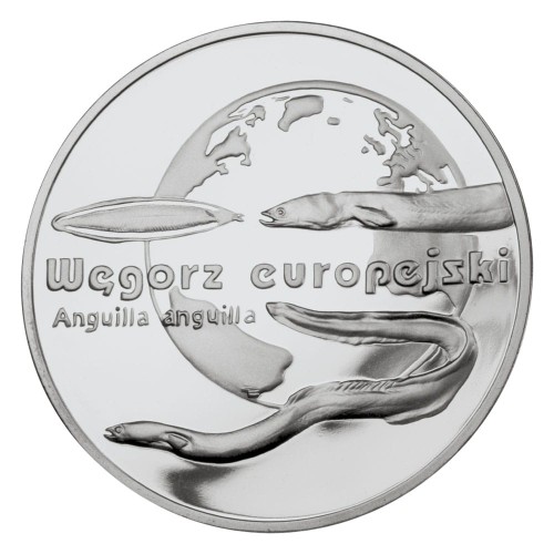 POLSKA: srebrna moneta kolekcjonerska 20 zł / 2003 r. - Zwierzęta Świata – Węgorz europejski (łac. Anguilla anguilla). Sklep Numizmatyczny, Warszawa  www.km12.pl
