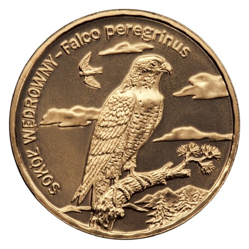 Polska:  moneta  ze stopu Nordic Gold:   2 zł / 2008 r. - Zwierzęta świata – Sokół wędrowny (łac. Falco peregrinus). Sklep Numizmatyczny, Warszawa  www.km12.pl